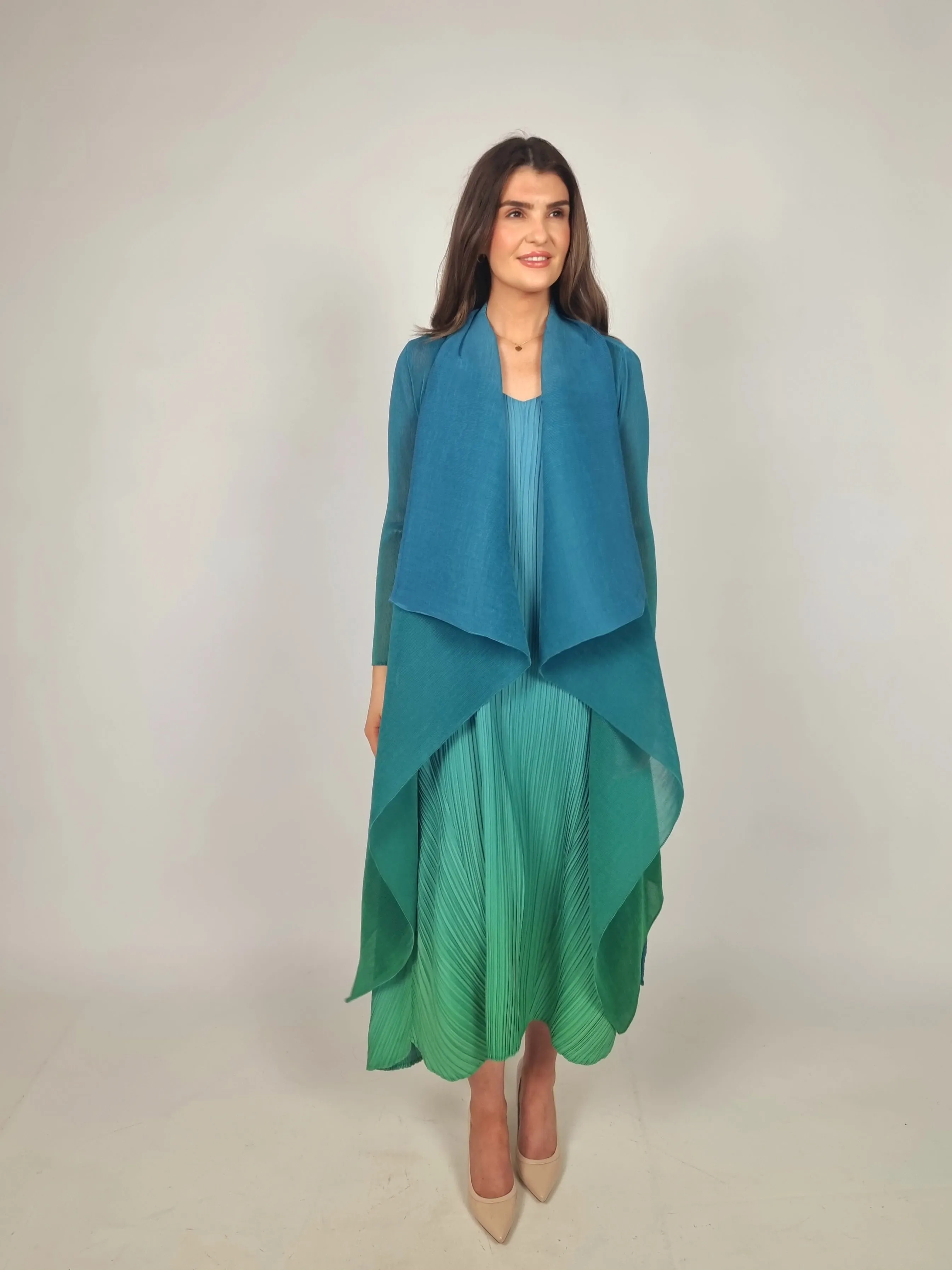 Alquema Biscay To Fern Ombre Long Estrella Dress And Collare Old Coat