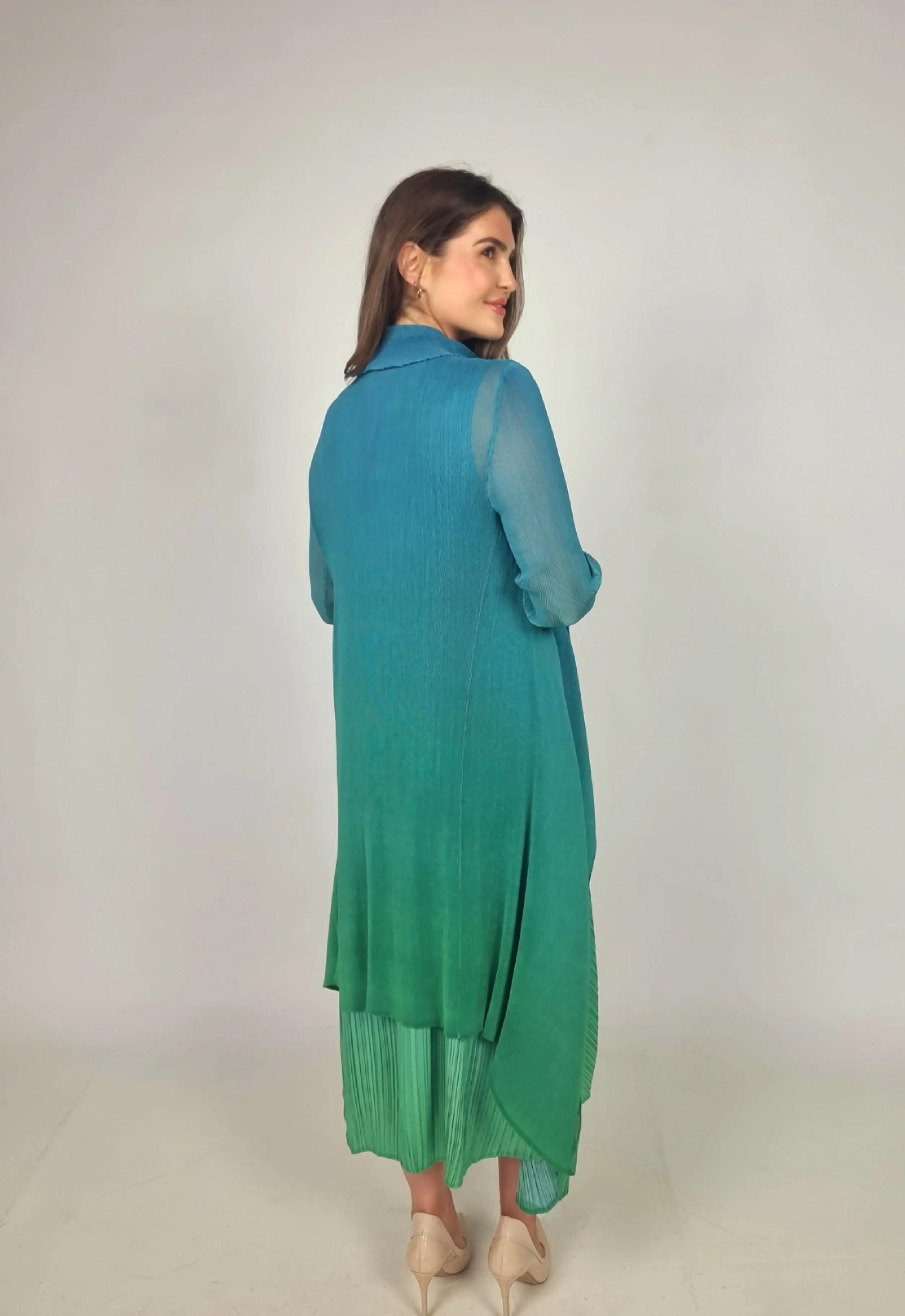 Alquema Biscay To Fern Ombre Long Estrella Dress And Collare Old Coat