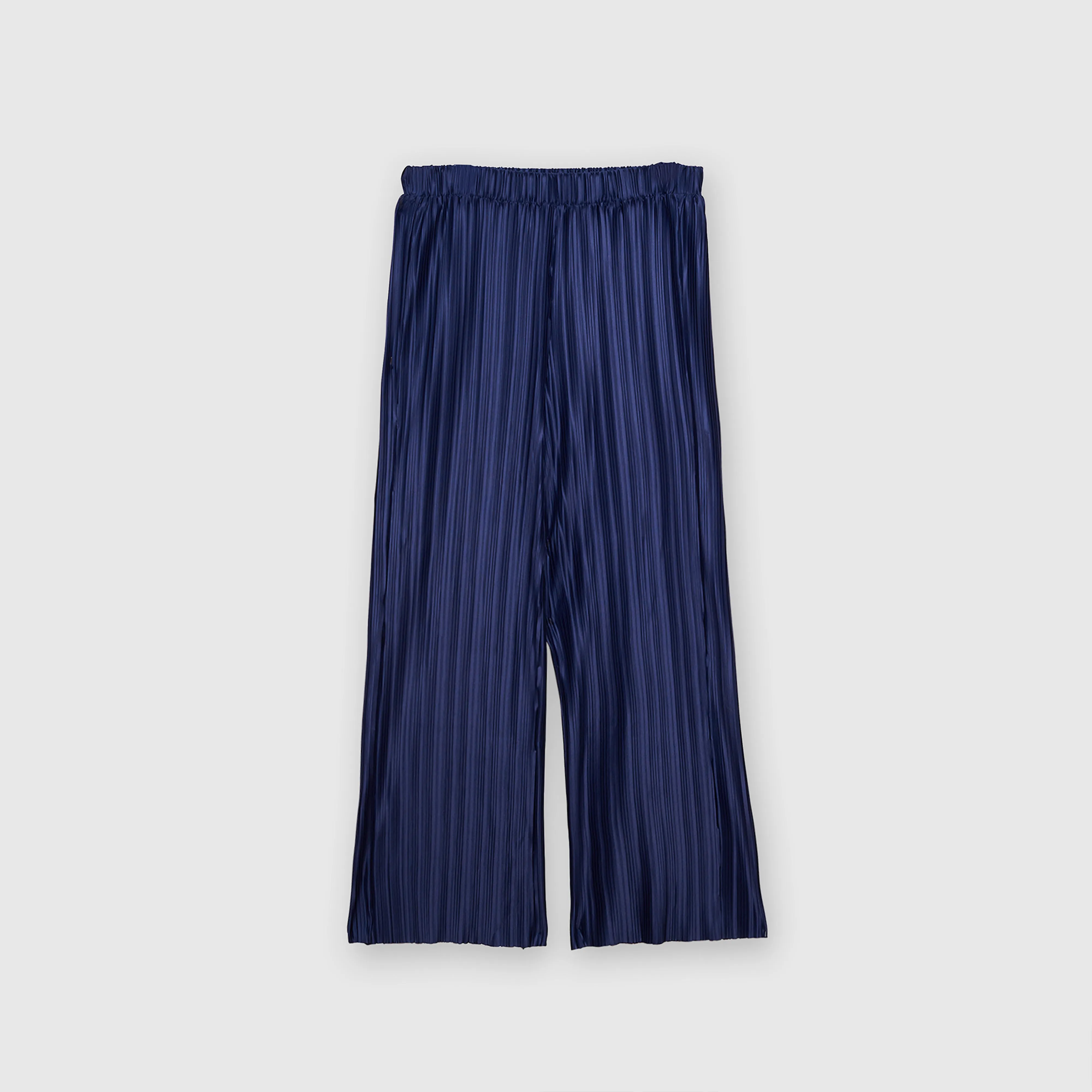 Pleated Wide Leg Pants