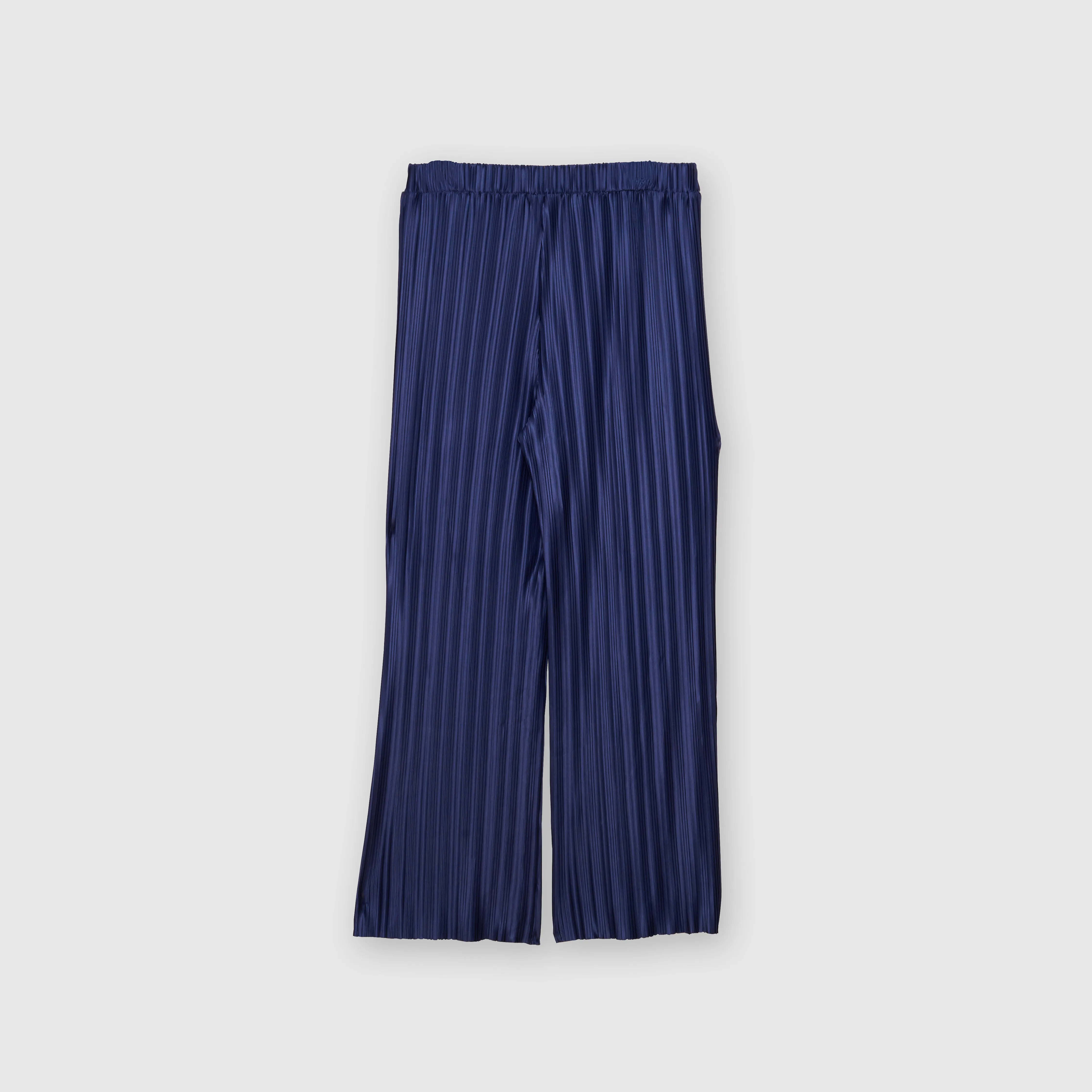 Pleated Wide Leg Pants