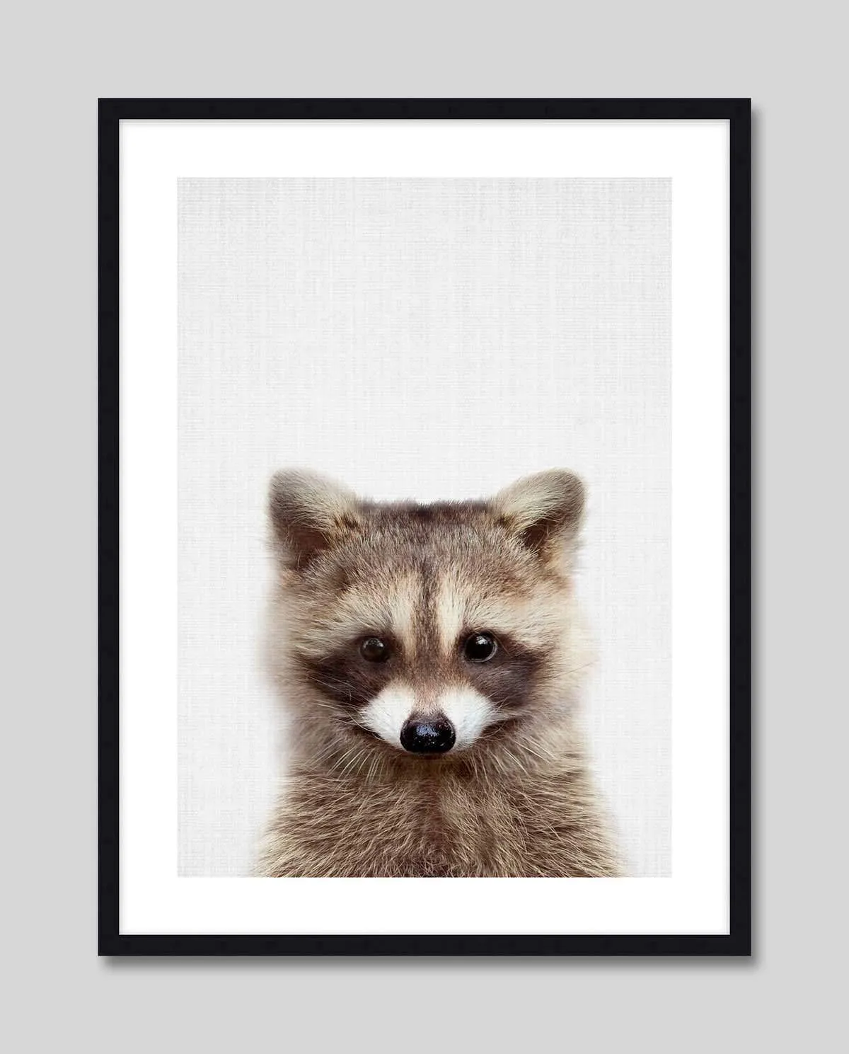 Woodland Raccoon